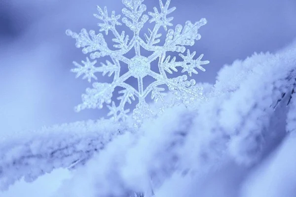 Meteorolojiden kar uyarısı