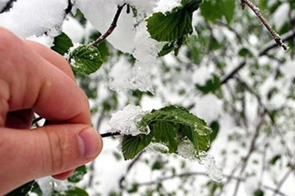 Meteorolojiden uyarı