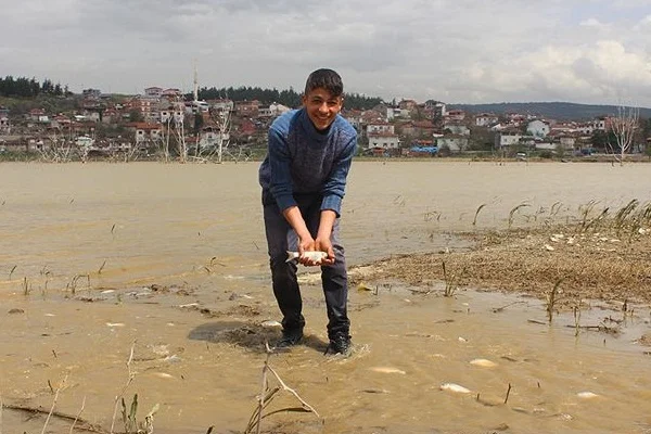 Tarladan balık topladılar