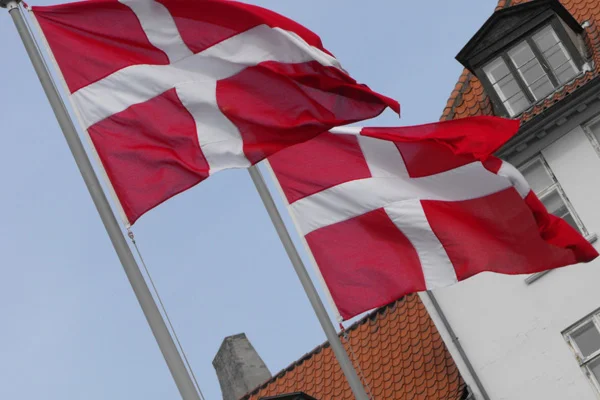 Danimarka'da AP seçimlerinin galibi Liberal Parti Venstre