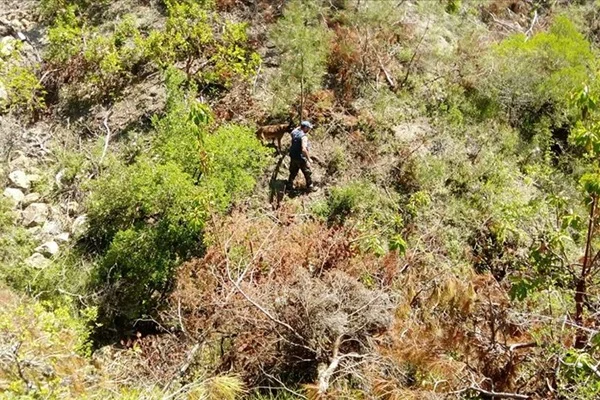 Ecrin'e ait diğer parçaların bulunması için çalışmalar yarın sürecek