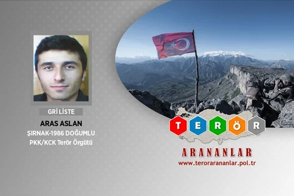 Giresun'da gri kategoride yer alan terörist yakalandı