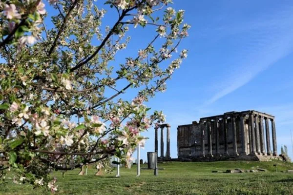 'İkinci Efes'in çarşısı ortaya çıkarılacak