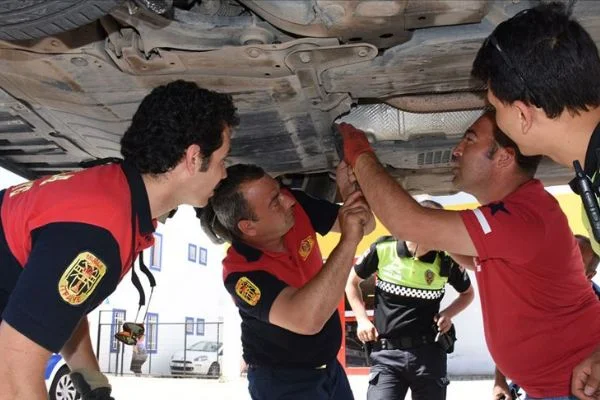 Kedi yavruları polisin dikkati ile kurtarıldı