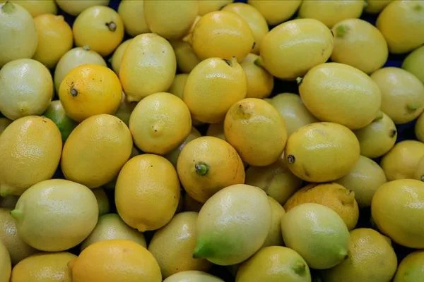 Nisan ayının zam şampiyonu limon
