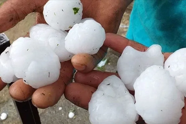 Ordu'da ceviz büyüklüğünde dolu etkili oldu