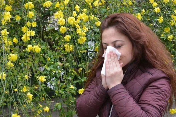 'Polenler dikkat dağınıklığı, uyku hali ve sersemlik de verir'
