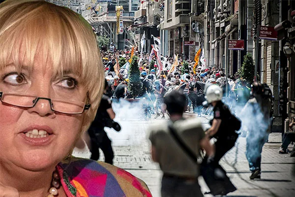 Alman Roth, Gezi davasına destek için Türkiye'ye geliyor!