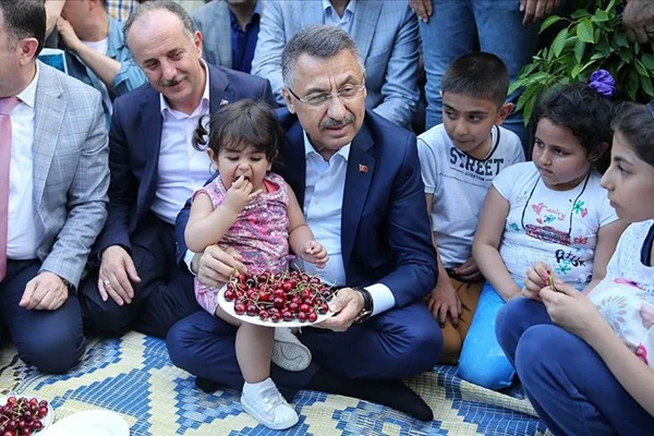 Cumhurbaşkanı Yardımcısı Oktay, kiraz hasadı etkinliğine katıldı