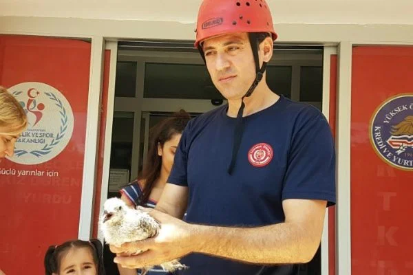 İBB itfaiyesi çatıya sıkışan martıyı önce kurtardı daha sonra annesine kavuşturdu