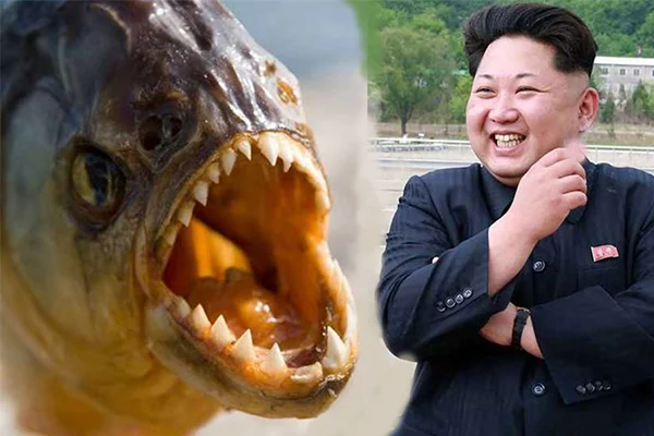 Kim Jong-un hakkında kan donduran iddia!