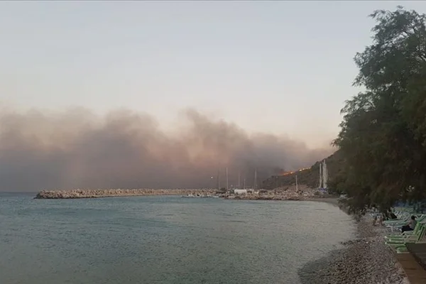 Muğla'da orman yangını