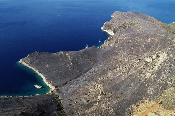 Muğla'daki yangında 5 hektar alan zarar gördü