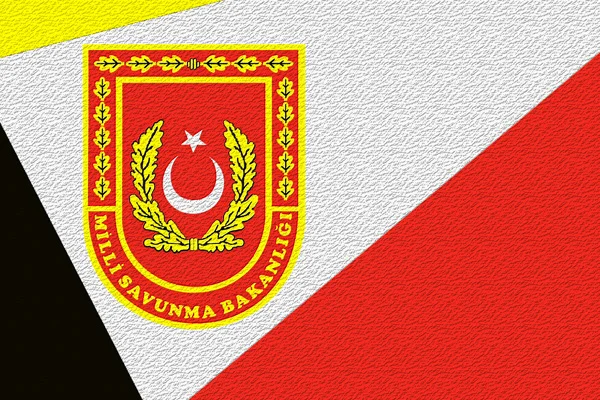 Türkiye'nin Rusya'ya koordinasyon verdiği iddialarına yalanlama