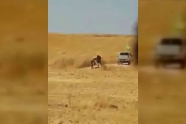 YPG/PKK'lı teröristler sivillere ait arazileri ateşe verirken görüntülendi