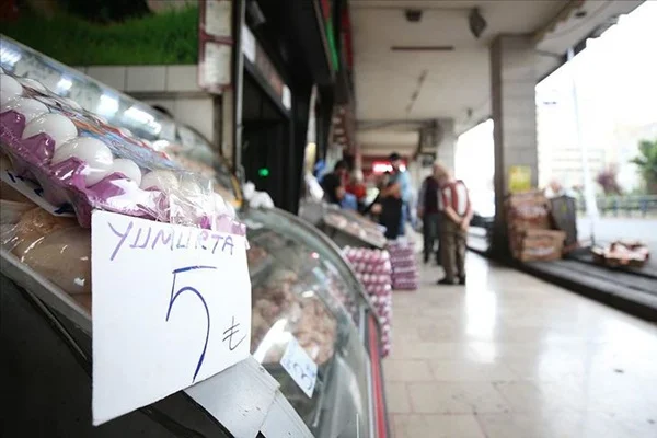 Yumurtanın kolisi 5 liraya kadar düştü