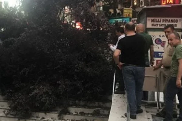 Ankara'da ağaç devrildi: 3 kişi yaralandı