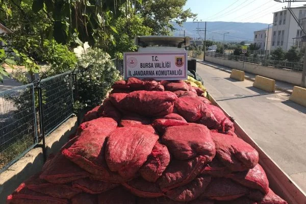 Bursa'da 12 ton kaçak midye ele geçirildi