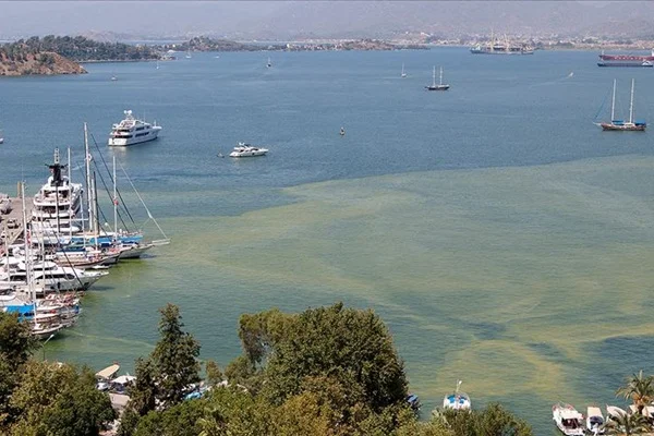'Fethiye Körfezi'ndeki renk değişiminin nedeni atık su tesisi'