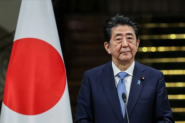 Japonya'da Senato seçimlerini Abe kazandı