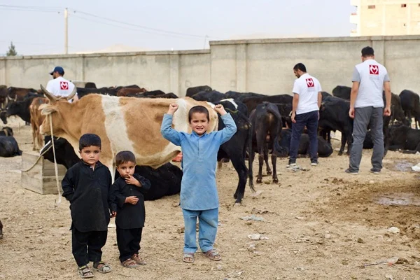'Kurban olsun, sağlık olsun'
