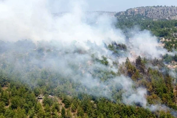 Mersin'de orman yangını