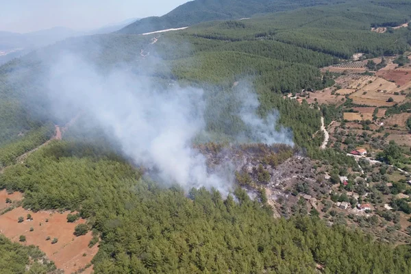 Muğla'da orman yangını
