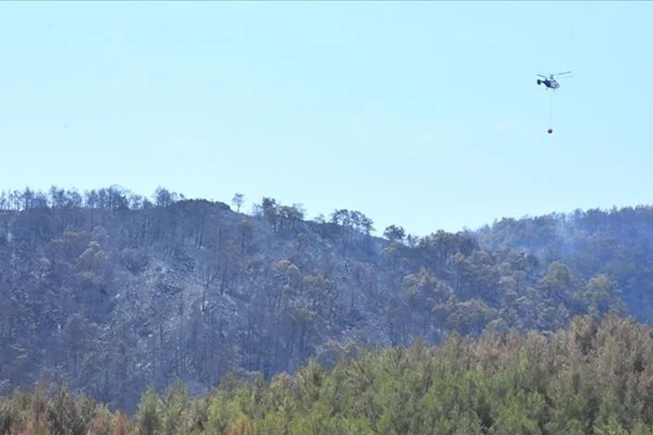 Muğla'daki yangınla ilgili iddialara ilişkin açıklama