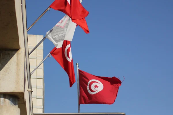 Tunus'ta Cumhurbaşkanlığı seçimleri öne alındı