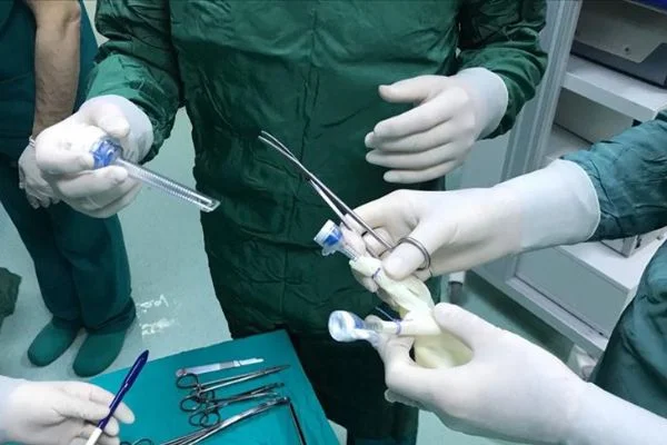 'Türkiye'nin cerrahi başarısı dünya standartlarının üzerinde'