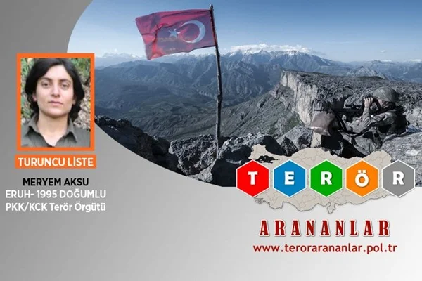 Turuncu kategoride aranan terörist etkisiz hale getirildi