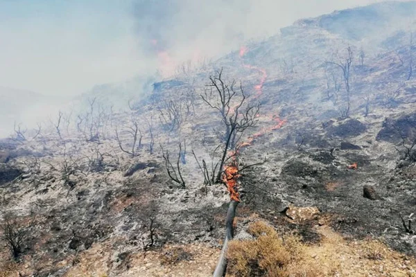 Datça'da makilik alan yandı