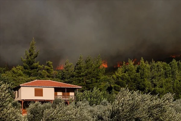 Ege'de 4 ilçede orman yangını