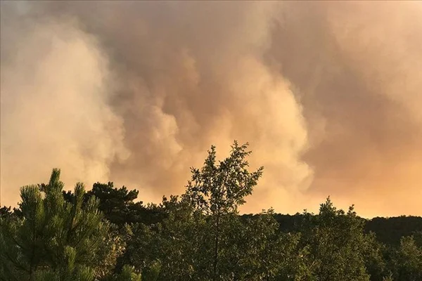Eskişehir'de orman yangını