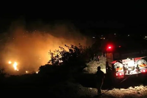 Hatay'da orman yangını