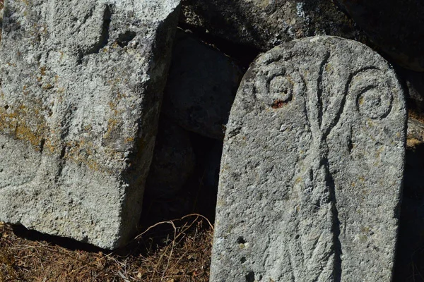 'Kayıp Türkler' Kıpçaklar Bursa'da mı yaşıyordu?