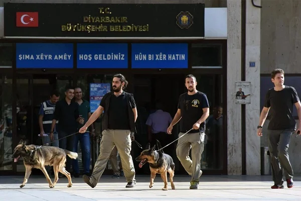 'Kayyum atanmasının nedeni HDP'yi yöneten PKK'nın dağ kadrosudur'