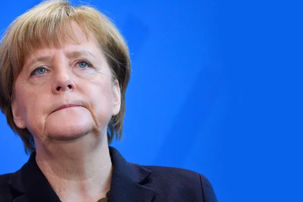 Merkel'den Amazon ormanları açıklaması