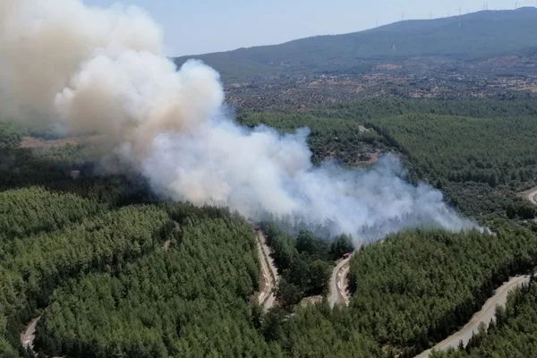 Muğla'da orman yangını