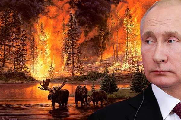 Putin, Sibirya'daki yangınların söndürülmesi için orduya talimat verdi