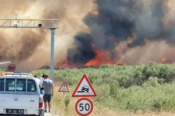 Terör örgütü PKK, orman yangınlarını üstlendi