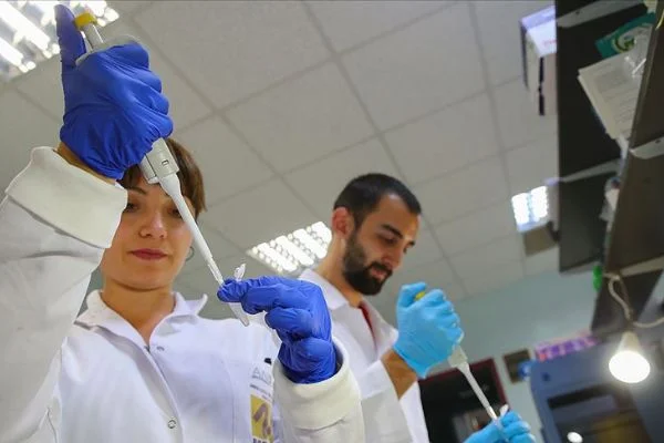 Türk bilim insanları 4 ölümcül virüs buldu