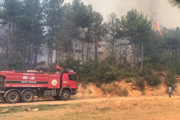 Uşak'ta orman yangını