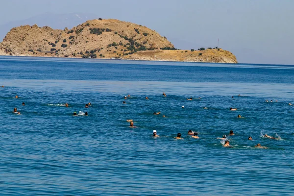 Van Gölü için 4 kilometre kulaç attılar