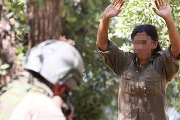 '15 yaşında 'piknik' adı altında dağa kaçırıldım'