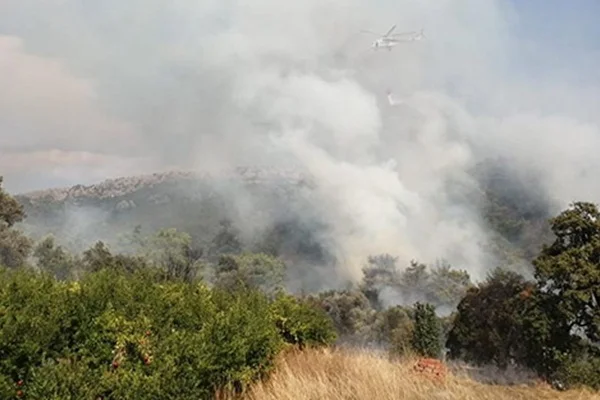 Antalya'da orman yangını
