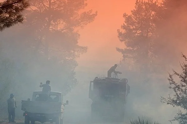 Bolu'da orman yangını