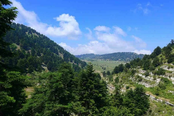 İsrail'den Lübnan ormanlarına yangın bombası atıldı