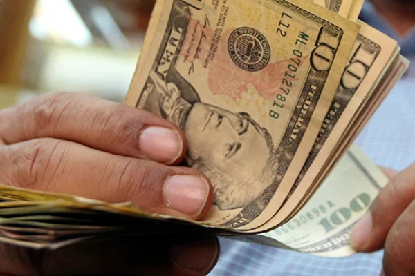 Merkez Bankasından yıl sonu dolar tahmini