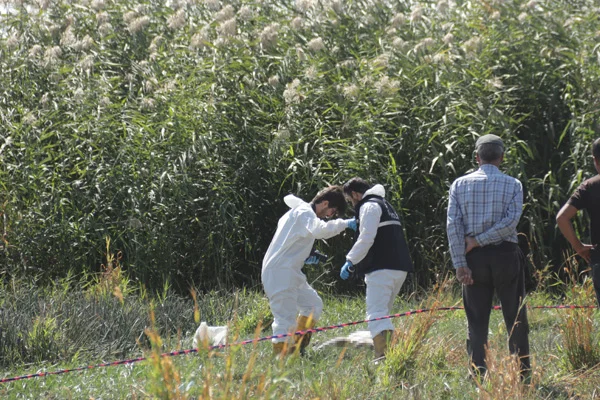 Van'da kaybolan kişinin cesedi bulundu